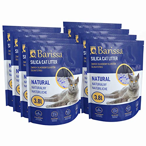 Silikat Katzenstreu - Weniger Staub - Besser für die Katze